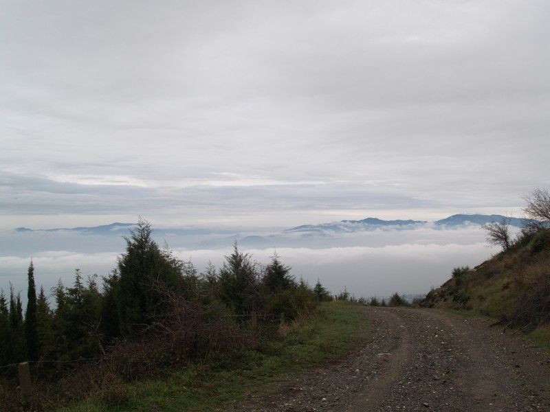 P1174429.jpg