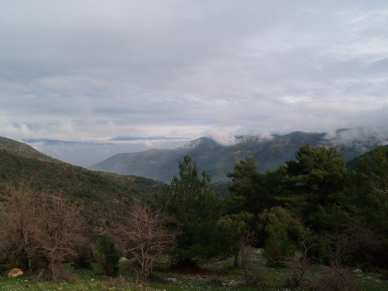 P1174536.jpg