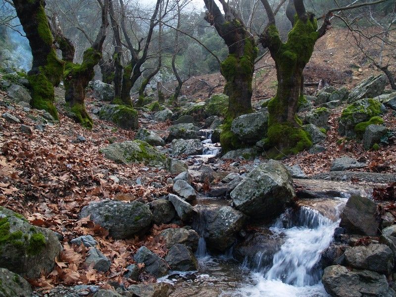 P1174606.jpg