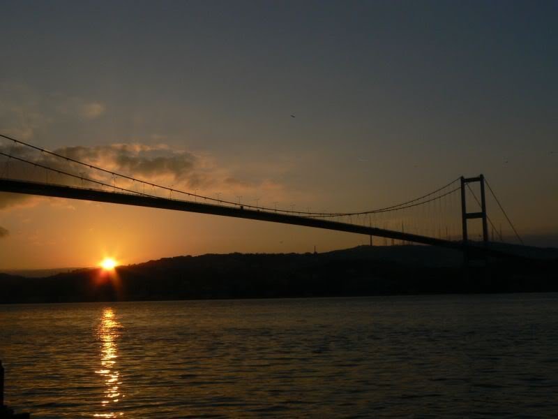 P1230857.jpg