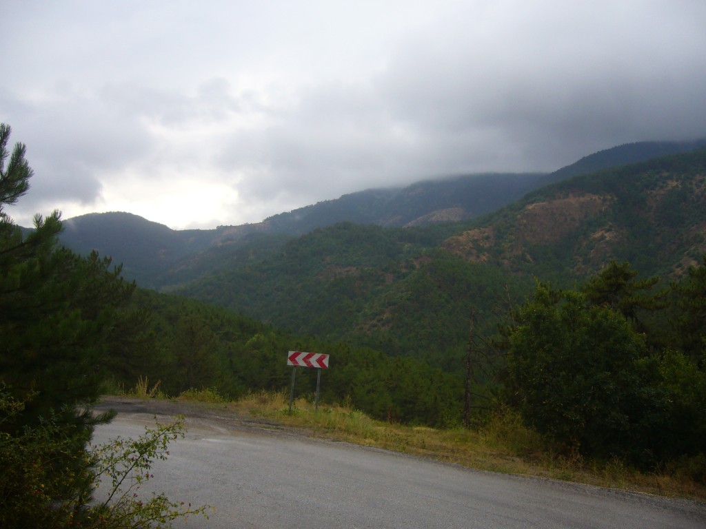 P1240716.JPG
