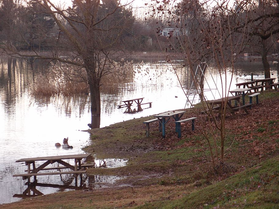 P1258493.jpg