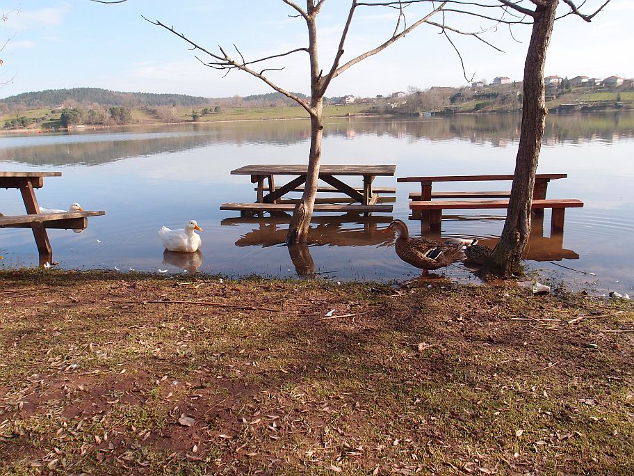 P1258515.jpg