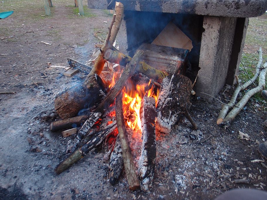 P1258617.jpg