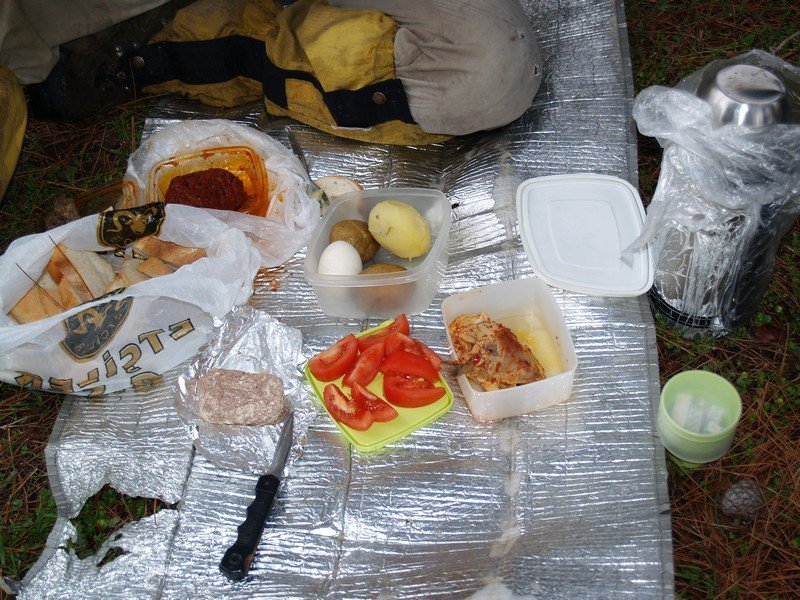 P1259394.jpg