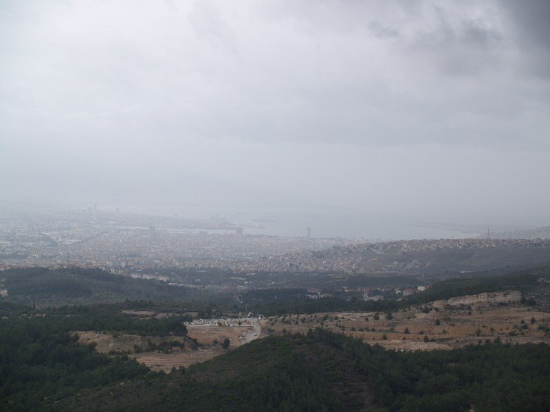 P1259417.jpg