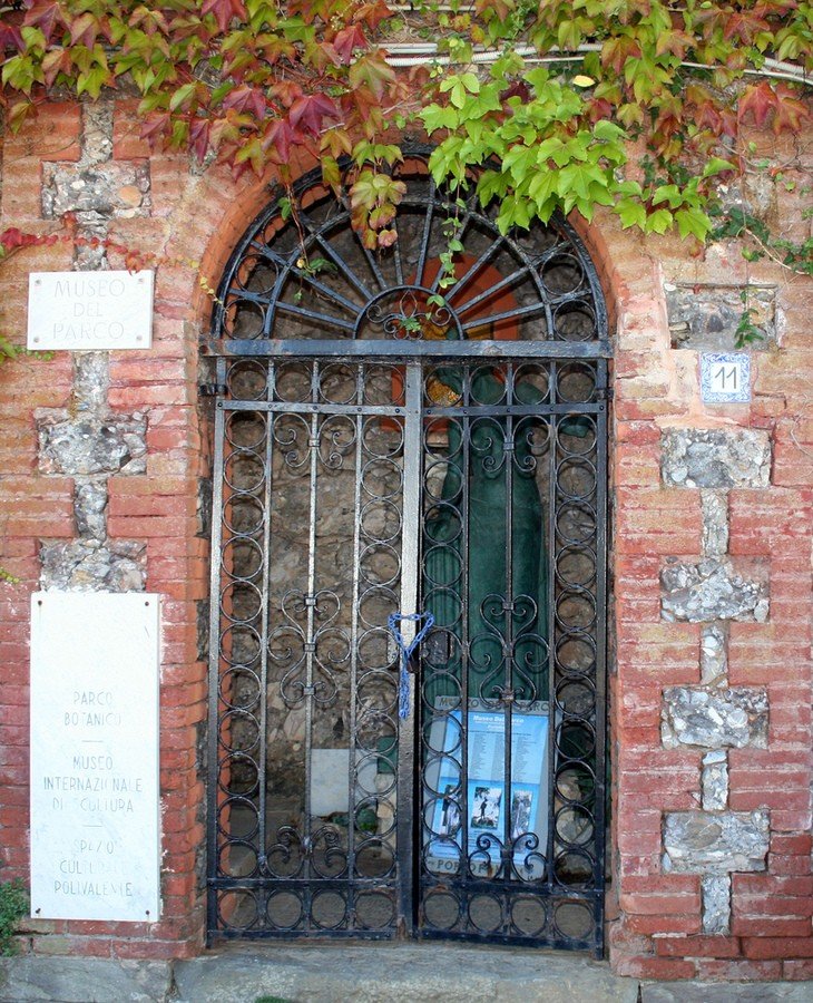 p14.jpg