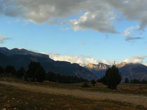 P1420339_482x362.jpg