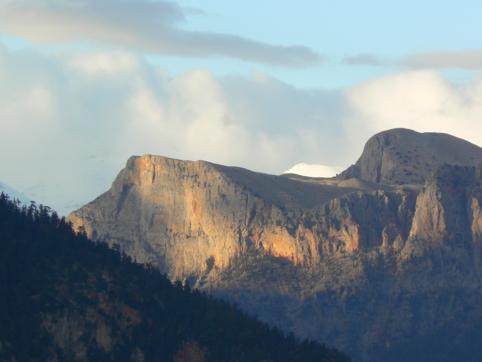 P1420353_482x362.jpg