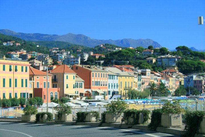 p2.jpg