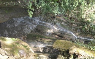 P2010203 [320x200].jpg