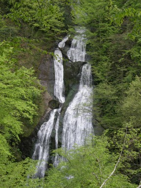 P2010276 [320x200].jpg