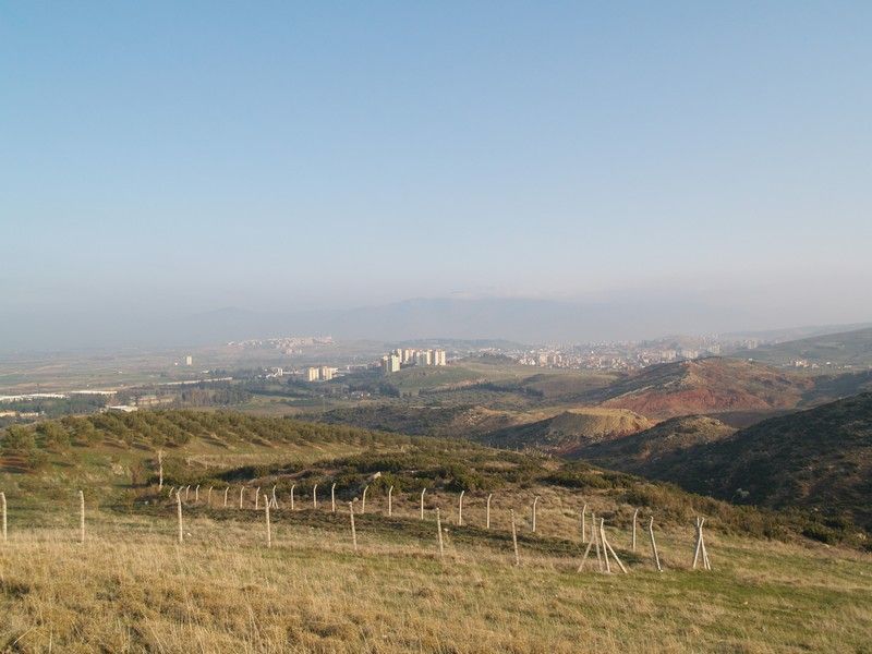 P2019512.jpg