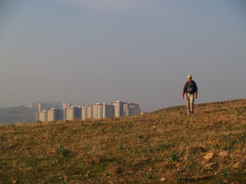 P2019518.jpg