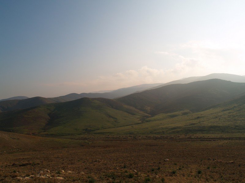 P2019519.jpg