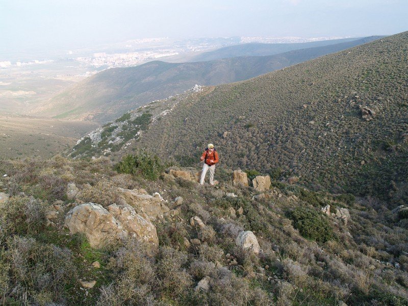 P2019543.jpg