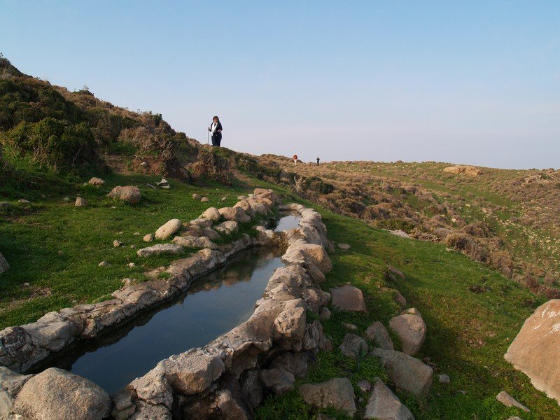 P2019549.jpg