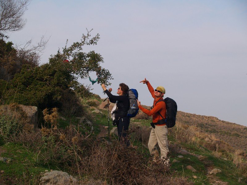 P2019550.jpg
