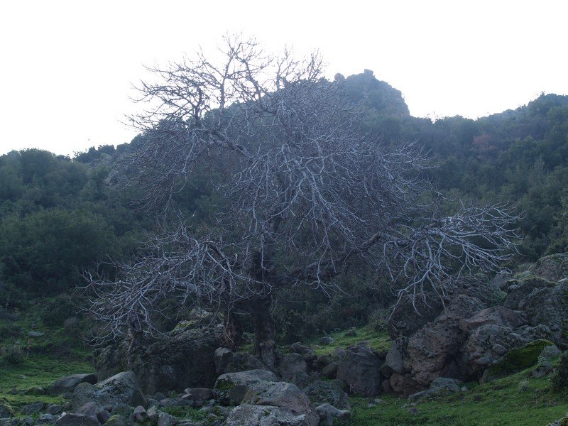 P2019551.jpg