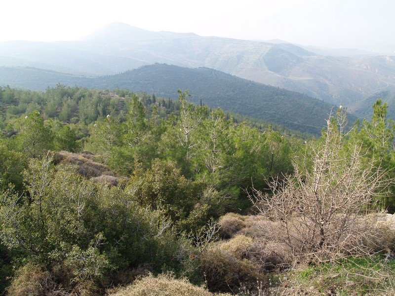 P2019561.jpg