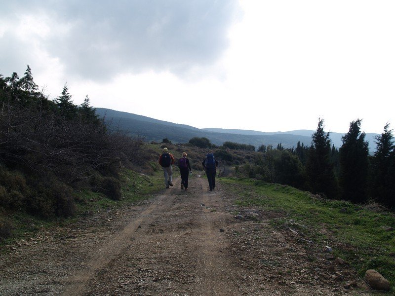 P2019562.jpg