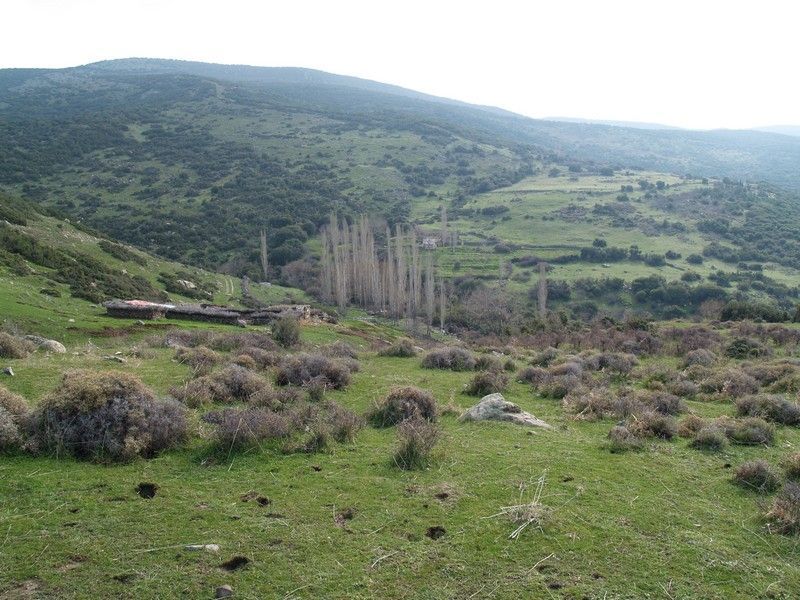 P2019563.jpg