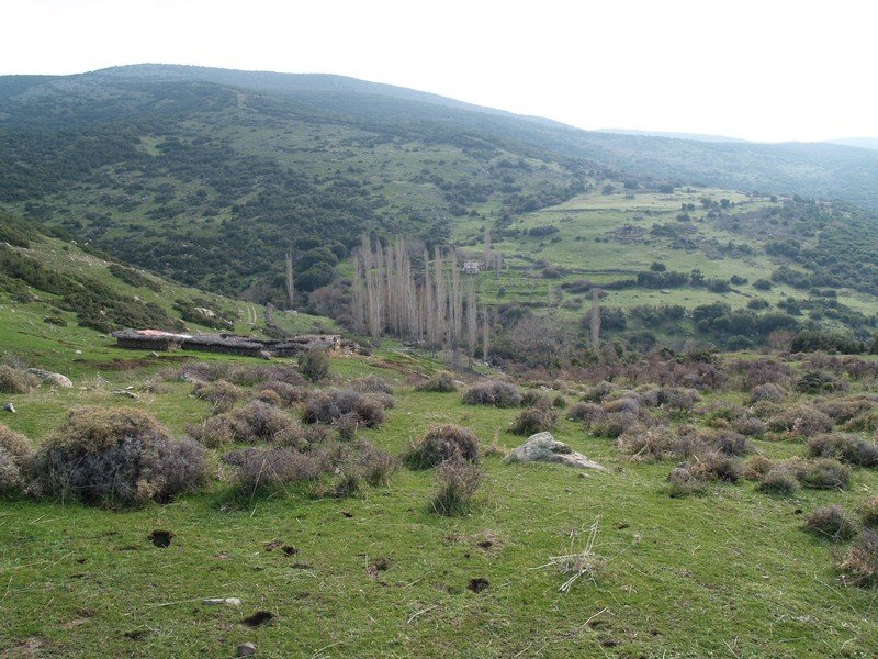 P2019563.jpg