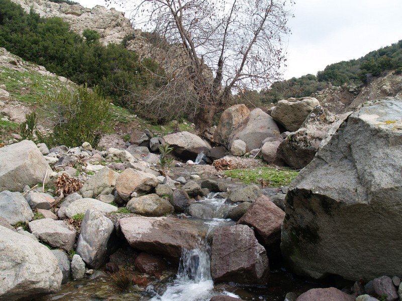 P2019565.jpg