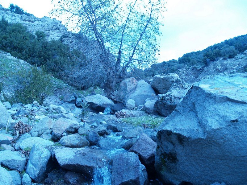 P2019568.jpg