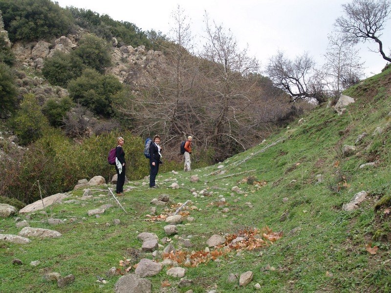 P2019573.jpg