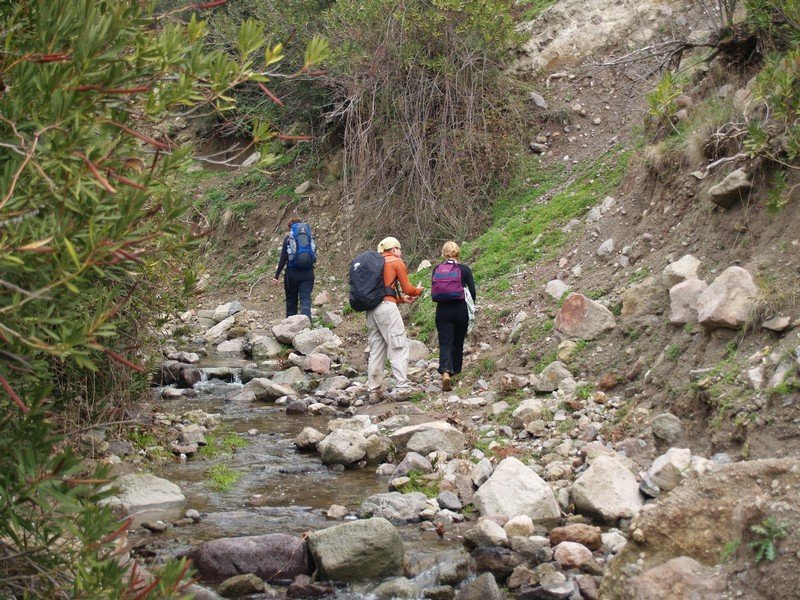 P2019574.jpg