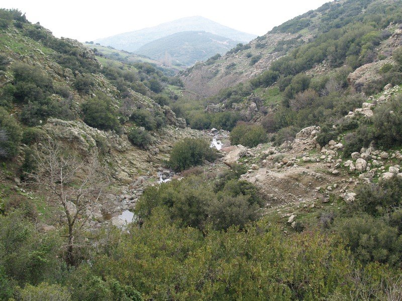 P2019596.jpg
