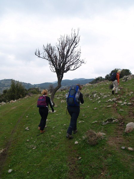 P2019598.jpg