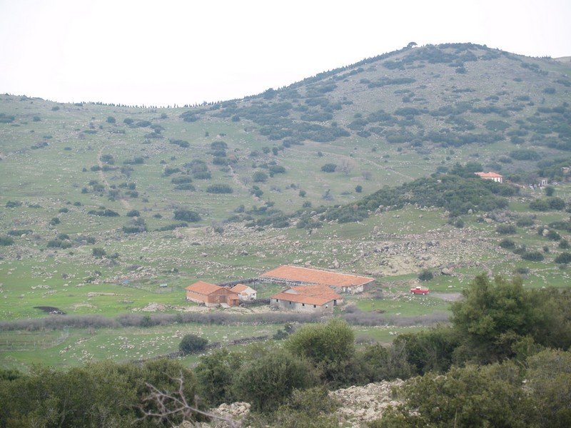 P2019599.jpg
