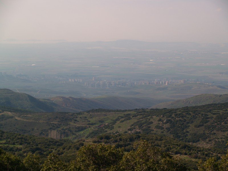 P2019646.jpg