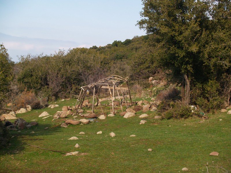 P2019648.jpg