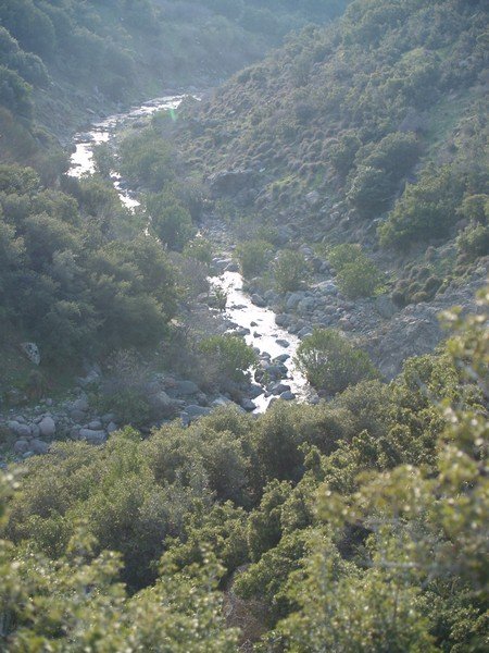 P2019694.jpg