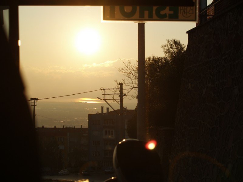 P2019714.jpg