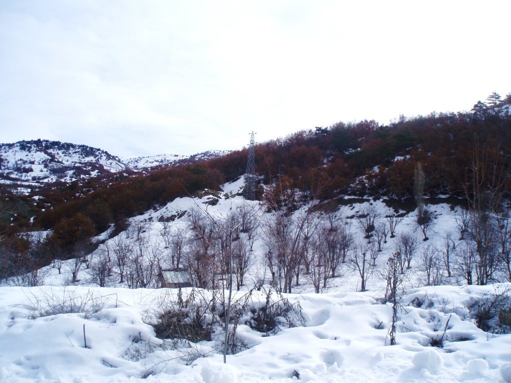 P2030005.JPG