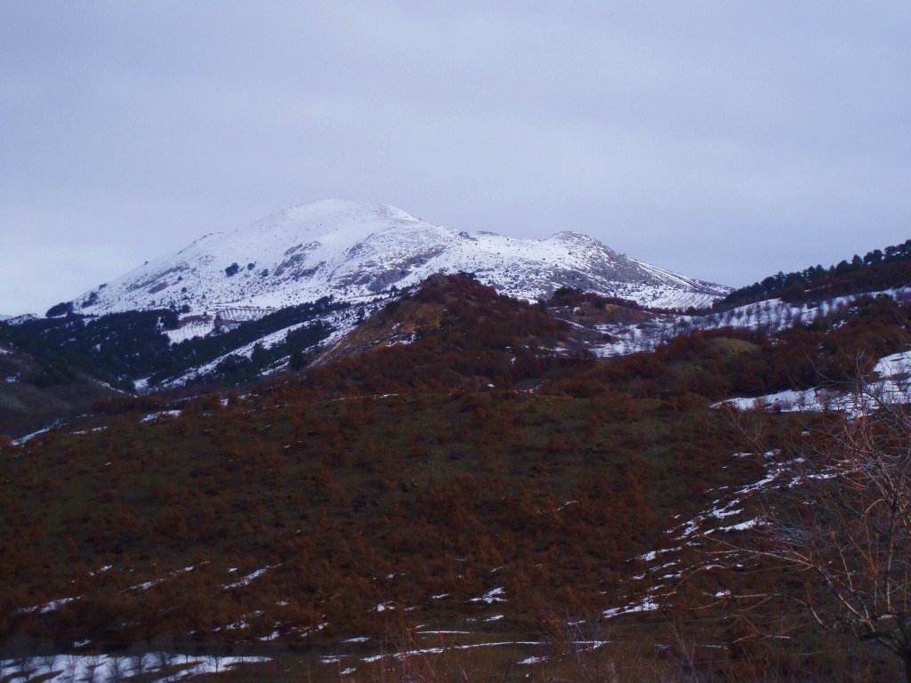 P2030008.JPG
