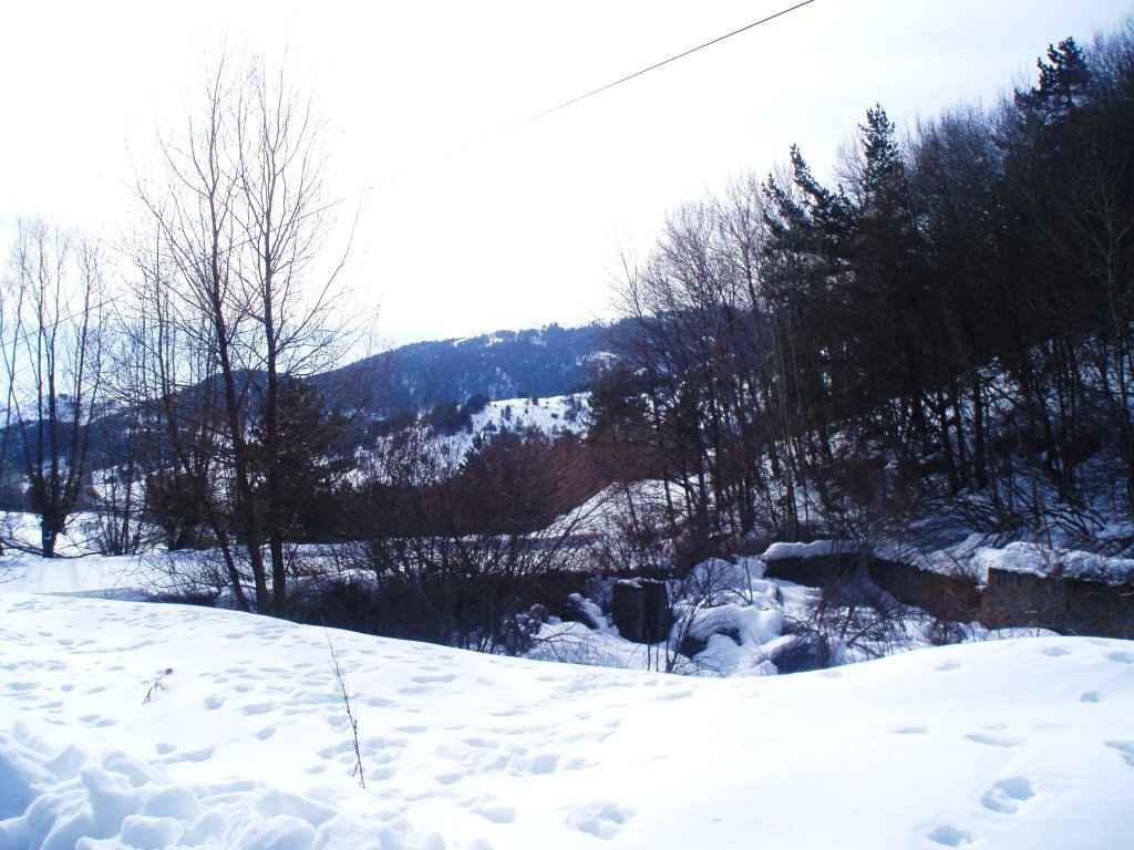 P2030010.JPG