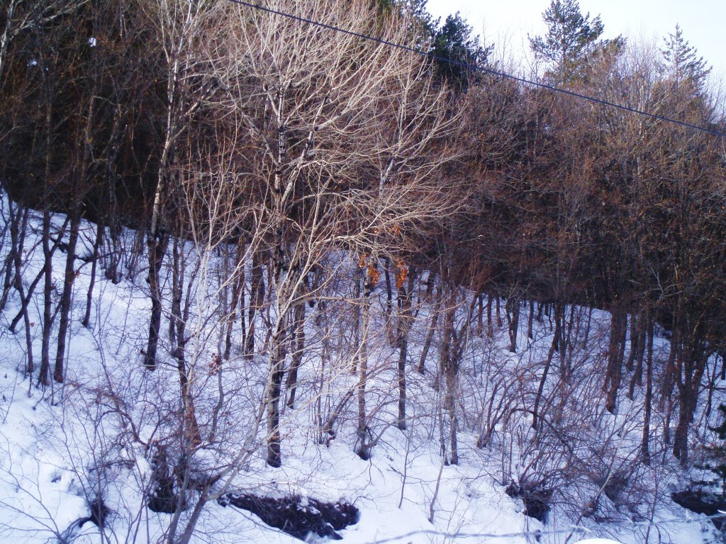P2030013.JPG