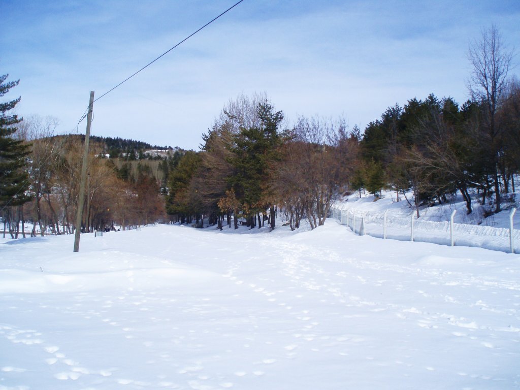 P2030024.JPG