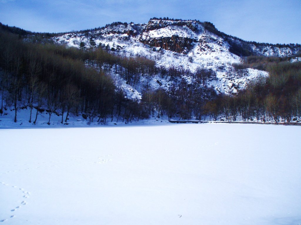 P2030035.JPG