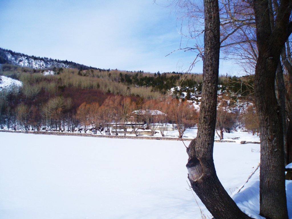 P2030037.JPG