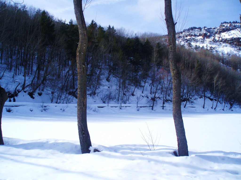 P2030039.JPG