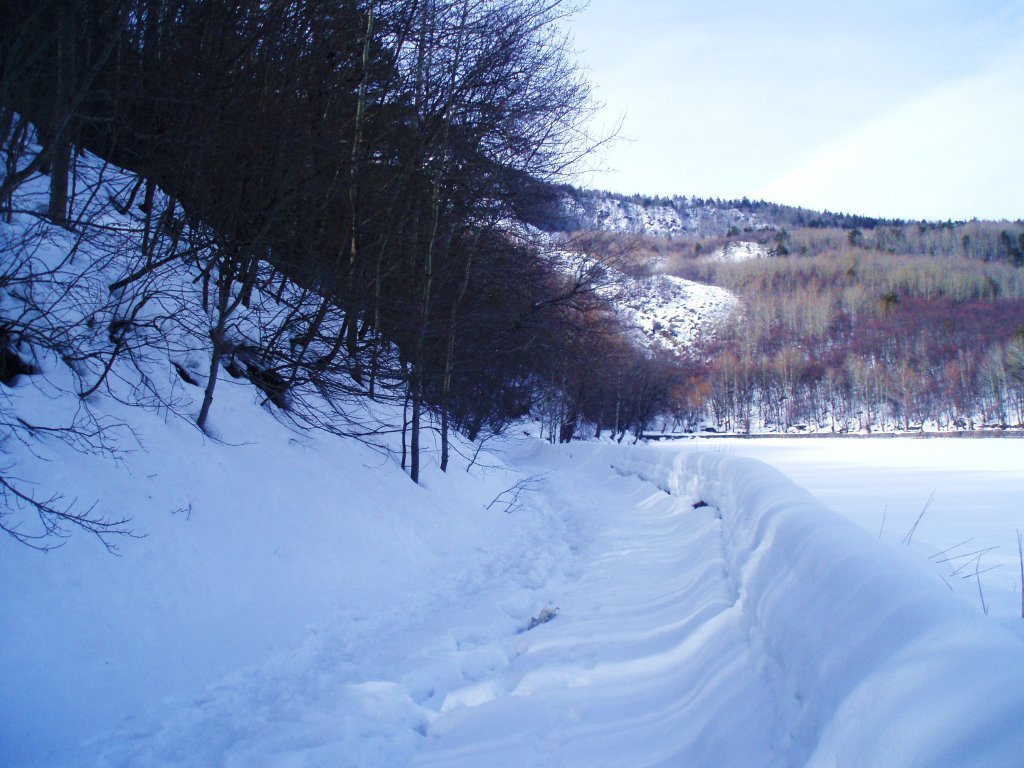 P2030060.JPG