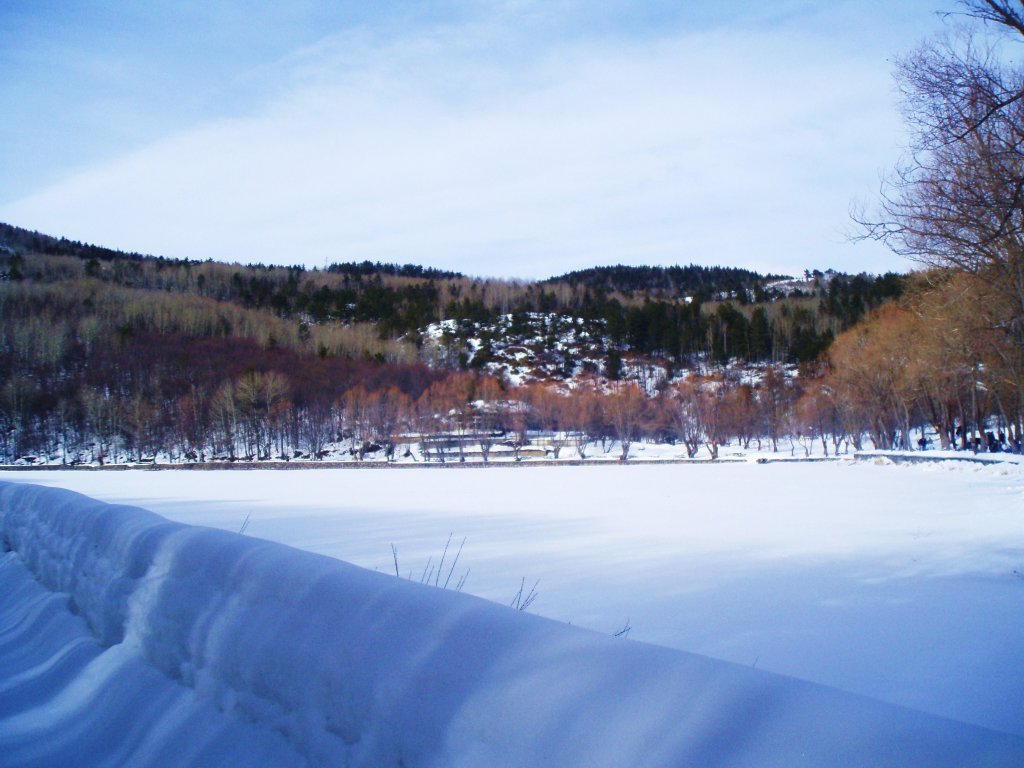 P2030064.JPG