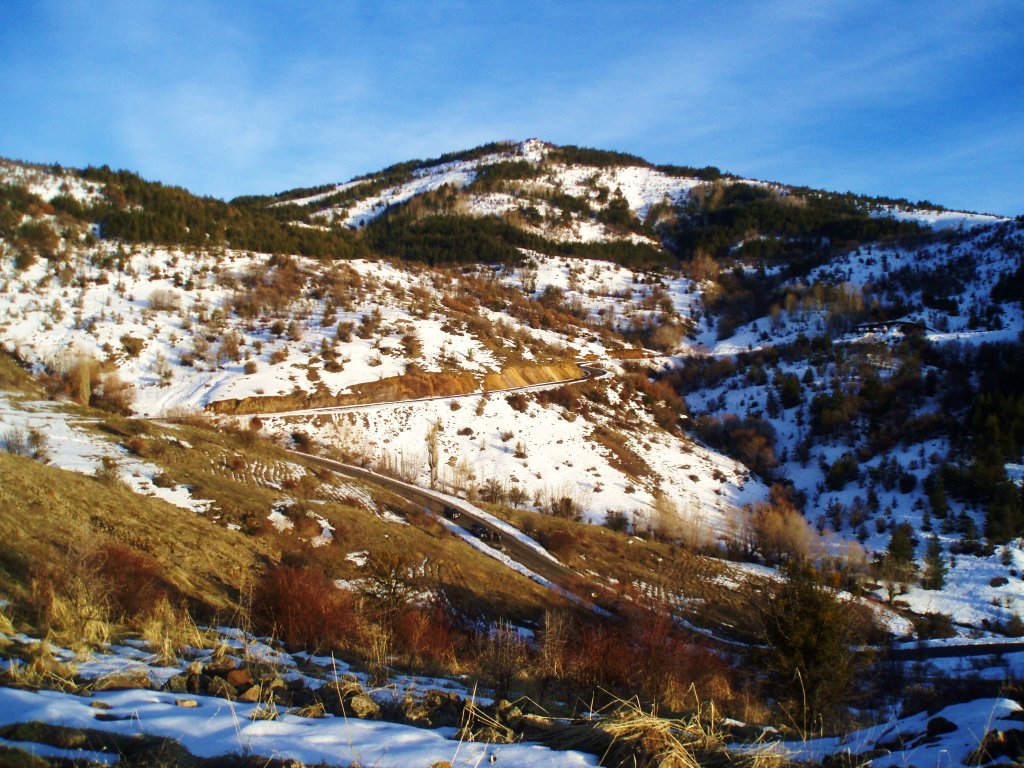 P2030192.JPG