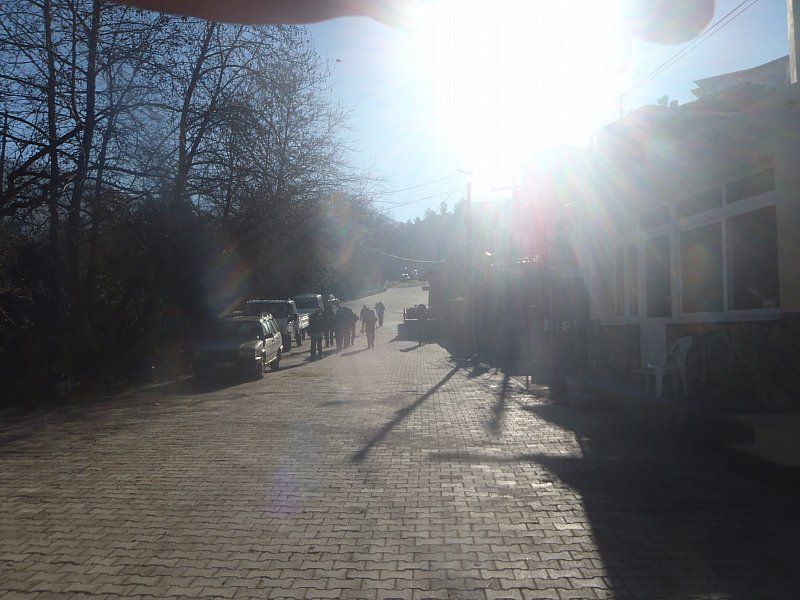 P2060259.jpg